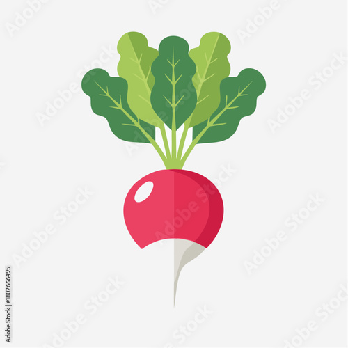 Illustration design plat de radis simple et isolé