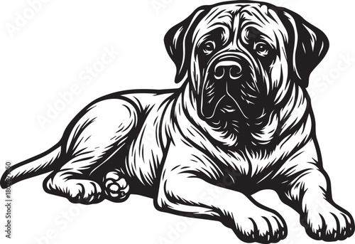 english mastiff dog portrait