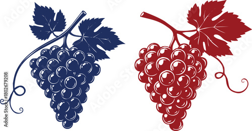Two Bunches of Grapes One Red One Blue with Leaves and Swirls Keywords: grape, grapes, bunch, fruit, food, red, blue, dark blue