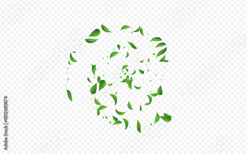 2560x1600gal-01__leif_8_01.eps