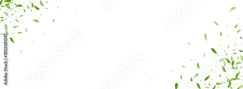 Leaves_Vortex_Flying_Vector_Background_213.eps