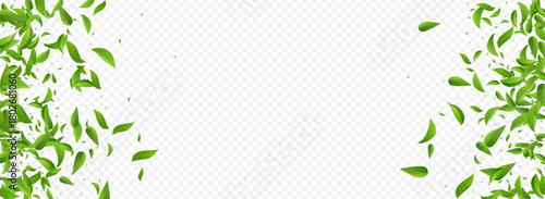 3360X1225panor-03__leif_3_01.eps