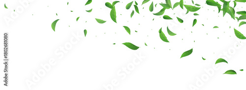 Leaves_Vortex_Flying_Vector_Background_252.eps