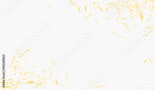 Yellow_petals_transparent_background_727.eps
