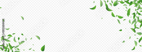 3360X1225panor-07__leif_11_01.eps