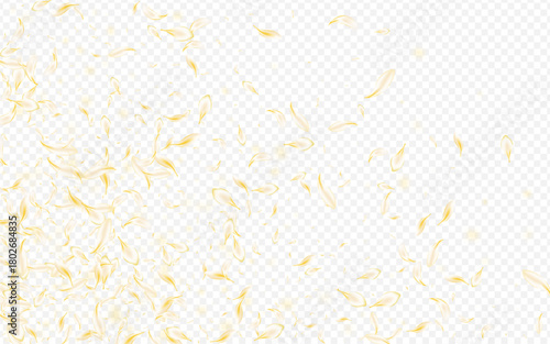 Yellow_petals_transparent_background_194.eps