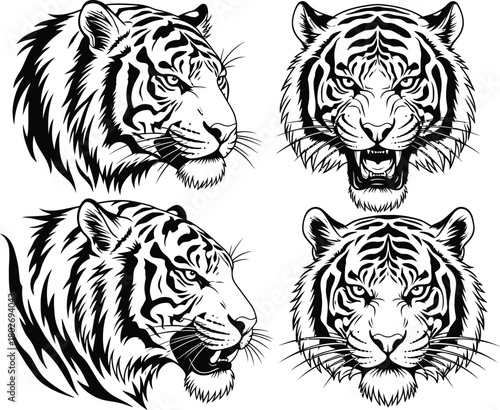 Four detailed black and white tiger head illustrations in different poses