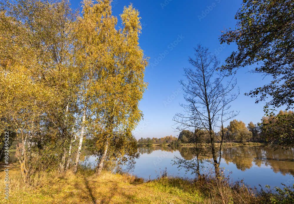 Fototapeta premium Beautiful lake with trees in the background