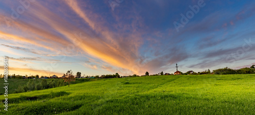 Beautiful, serene landscape with a large, open field and a few trees