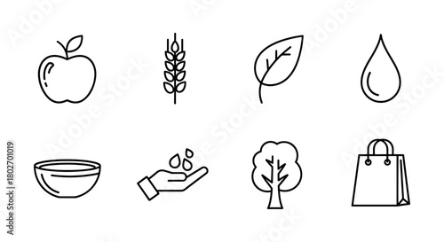 Minimalist line icons representing healthy lifestyle and eco-friendly elements