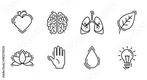 Minimalist line icons of heart, brain, lungs, leaf, lotus, hand, water drop, and light bulb