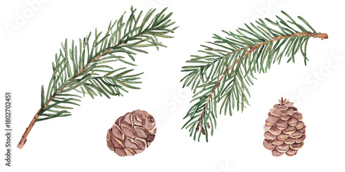 Pine or Fir Branches and cones set. Watercolor Hand painted illustration of Winter forest plant with green needles on white background. Pine or Spruce Twig For Christmas design, festive decor