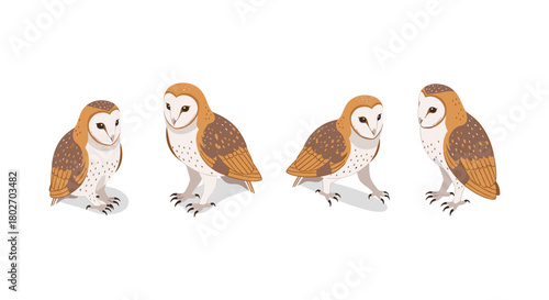 Barn owl quartet in soft colors and flat design on white background