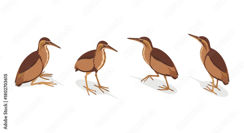 Obraz premium Heron collection: detailed bird poses in minimalist style