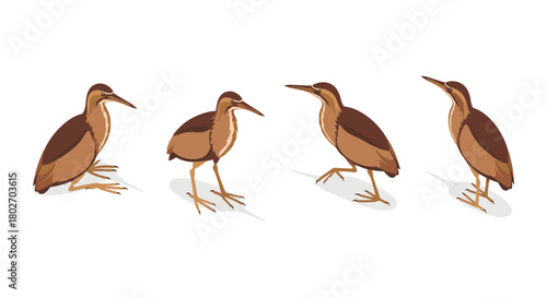 Heron collection: detailed bird poses in minimalist style