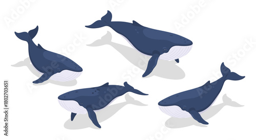 Isometric blue whales collection on white background