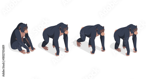 Chimpanzee walking sequence in isometric style on white background