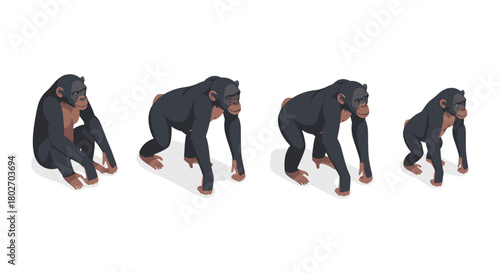 Evolution of walking apes in isometric style showcasing movement progression