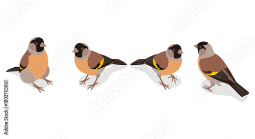 Bullfinch birds in flat geometric design on white background