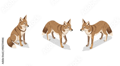 Stylized coyote trio with shadows on white background