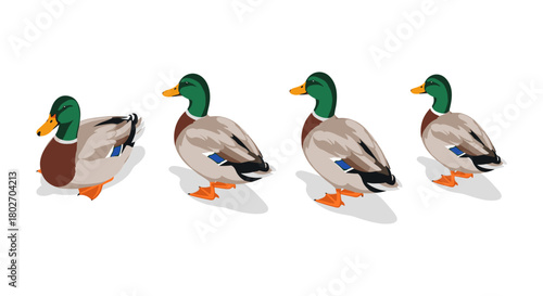 Isometric ducks in motion on white background