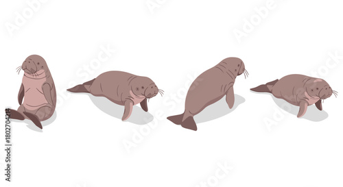 Manatee poses: diverse and playful sea creature set in flat style