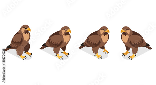 Set of hawk illustrations in isometric style on white background