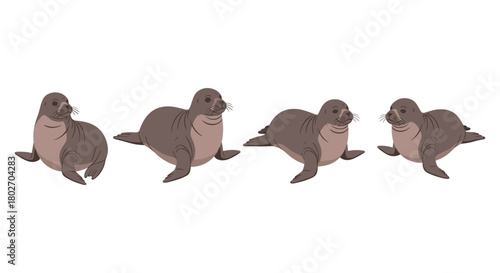 Cute cartoon seals: playful marine animals in flat design