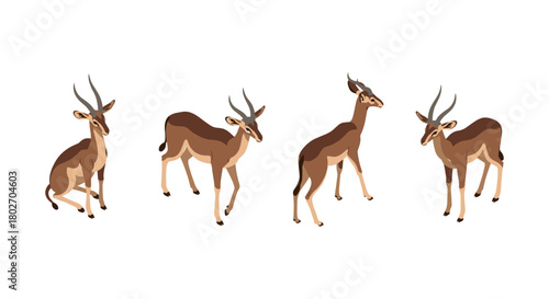 Isometric deer poses: four elegant deer in various natural stances