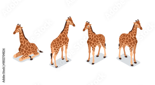 Isometric giraffe poses set: sitting and standing variations on white background