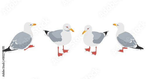 Seagull group in flat style on white background