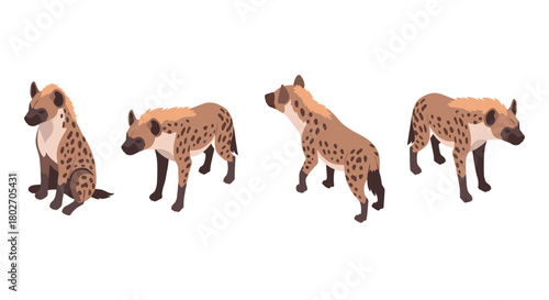 Isometric hyena poser: diverse angles in wildlife art