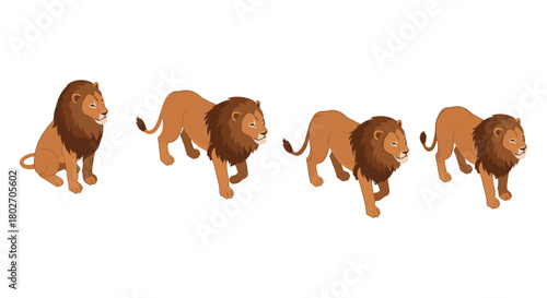 Four stages of lion movement on white background in flat style