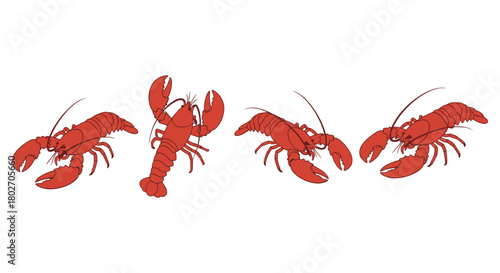 Red lobster silhouettes on white background