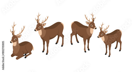 Isometric deer compilation: standing and resting poses on white background