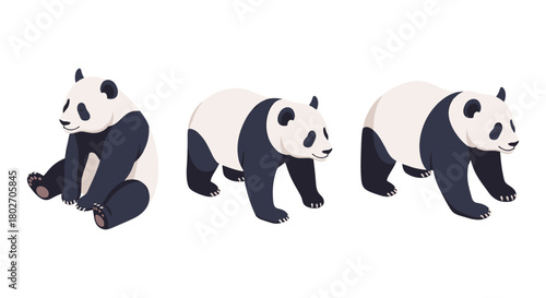 Isometric panda poses: sitting and walking variations
