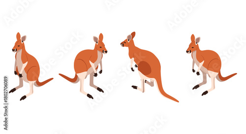 Isometric kangaroo set: dynamic poses and side views in modern style