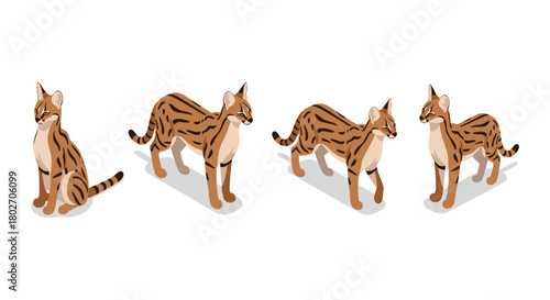 Isometric ocelot illustration with multiple poses on white background