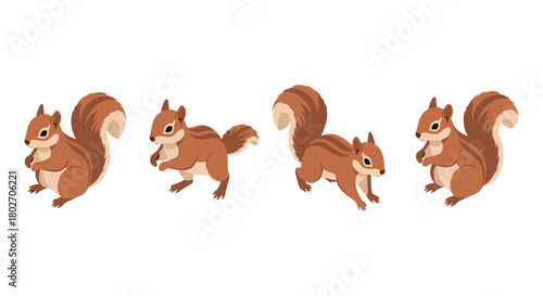 Cartoon squirrel set with playful poses and brown fur for nature themes