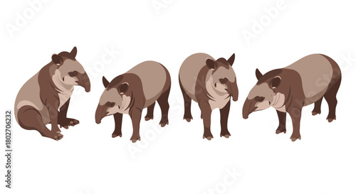 Isometric tapir pack: diverse poses of elegant animals on white background