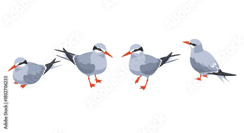 Stylized seagulls in various poses with minimalist design