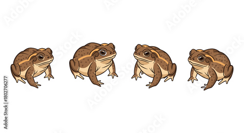 Cartoon toads: cute and adorable frog illustrations in brown tones for nature and wildlife design