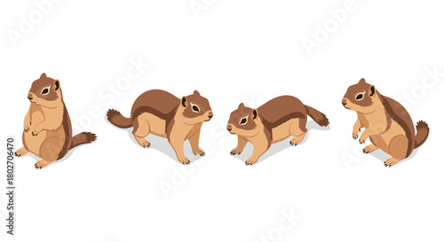 Isometric chipmunk poses set on white background