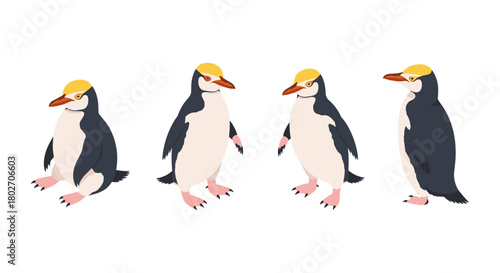 Cartoon penguins in different poses isolated on white background