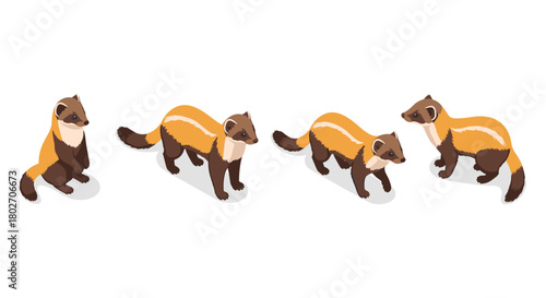 Isometric forest stoat set: cute animal poses in detailed style for wildlife design