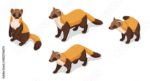 Set of cute isometric martens in different poses on white background