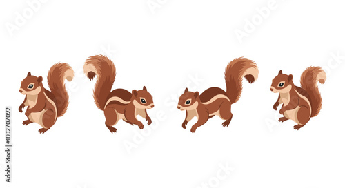 Detailed cute squirrel collection with bushy tails on white background