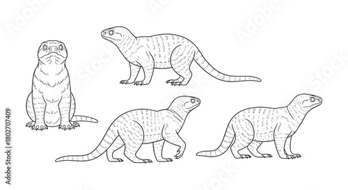 Hand drawn lizard set: detailed reptile sketches in various poses
