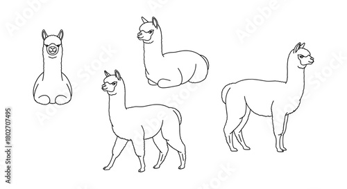 Cute alpaca line art in various poses for animal sketch designs
