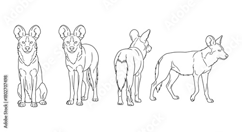 Standing dog line art design with multiple views